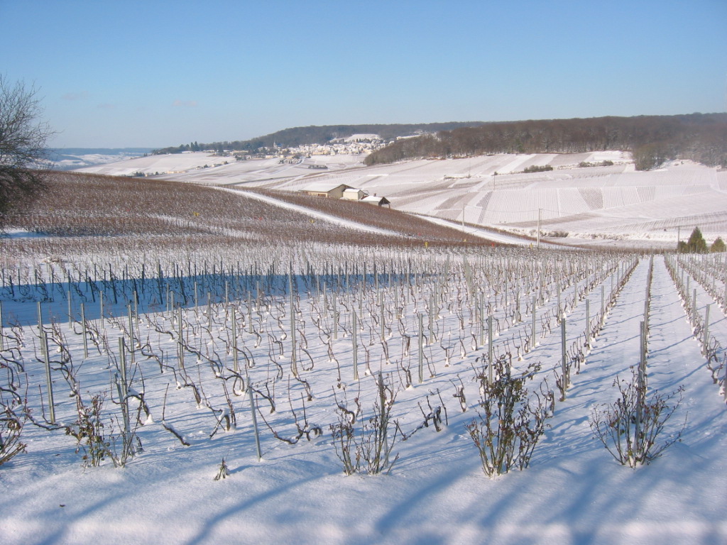 champagne in inverno